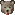 Bear :animals-bear: