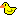 Duckie :animals-duckie: